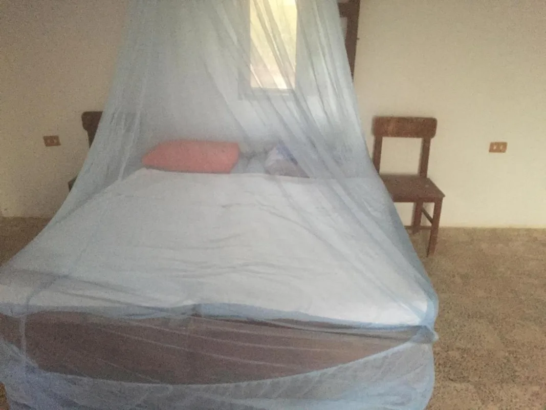 Deep South Eco-Lodge — ภาพห้องพักและบรรยากาศ