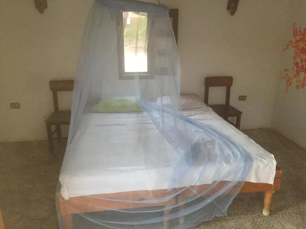 Deep South Eco-Lodge — ภาพห้องพักและบรรยากาศ