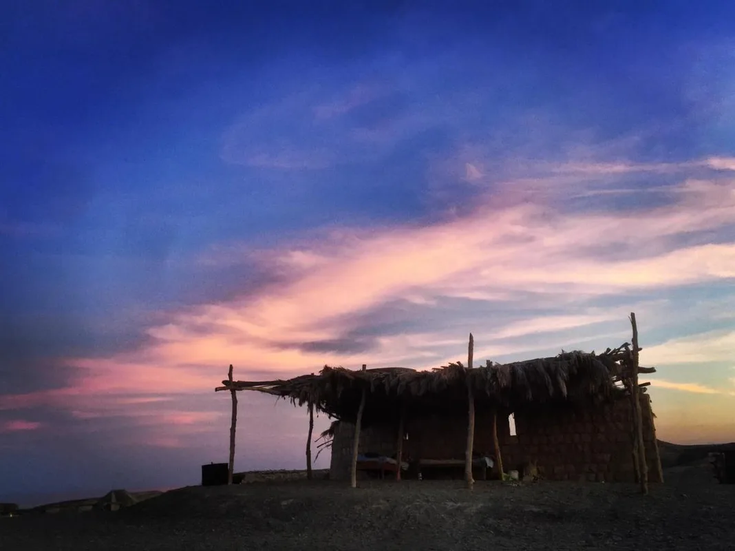 Deep South Eco-Lodge — ภาพห้องพักและบรรยากาศ