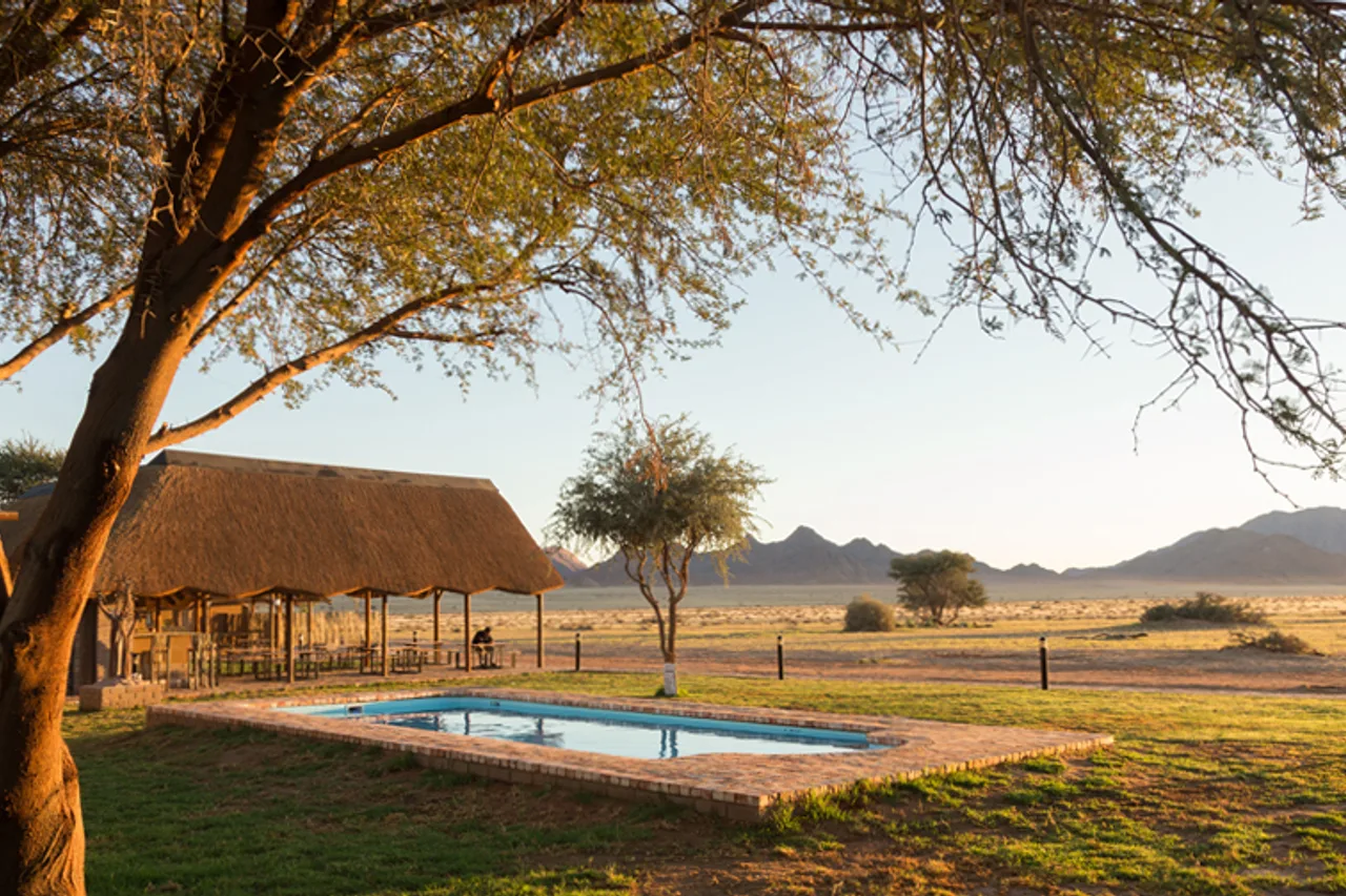 Desert Camp — ภาพห้องพักและบรรยากาศ