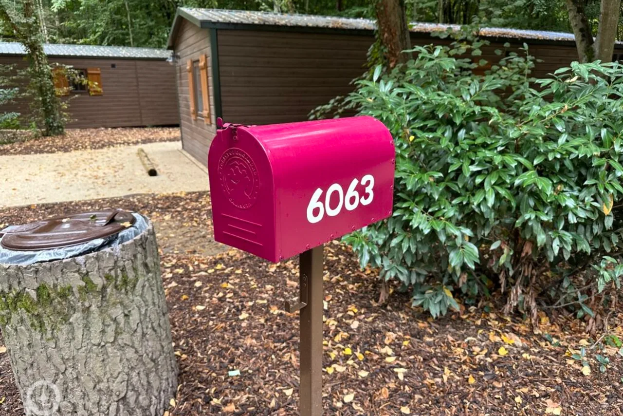 Disney's Davy Crockett Ranch — rooms and atmosphere