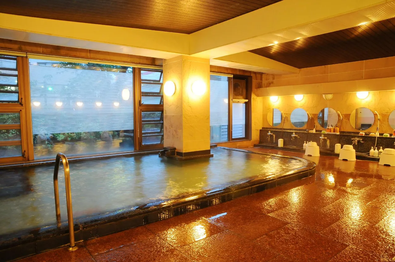 Echigo Yuzawa Onsen Sakura Tei — rooms and atmosphere