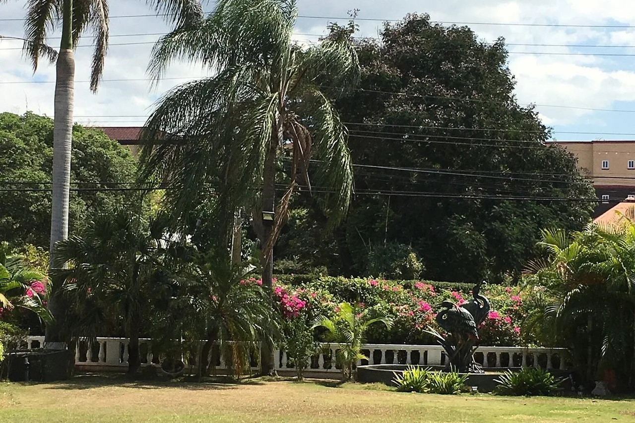 Eden Gardens Wellness Resort &amp; Spa — rooms and atmosphere