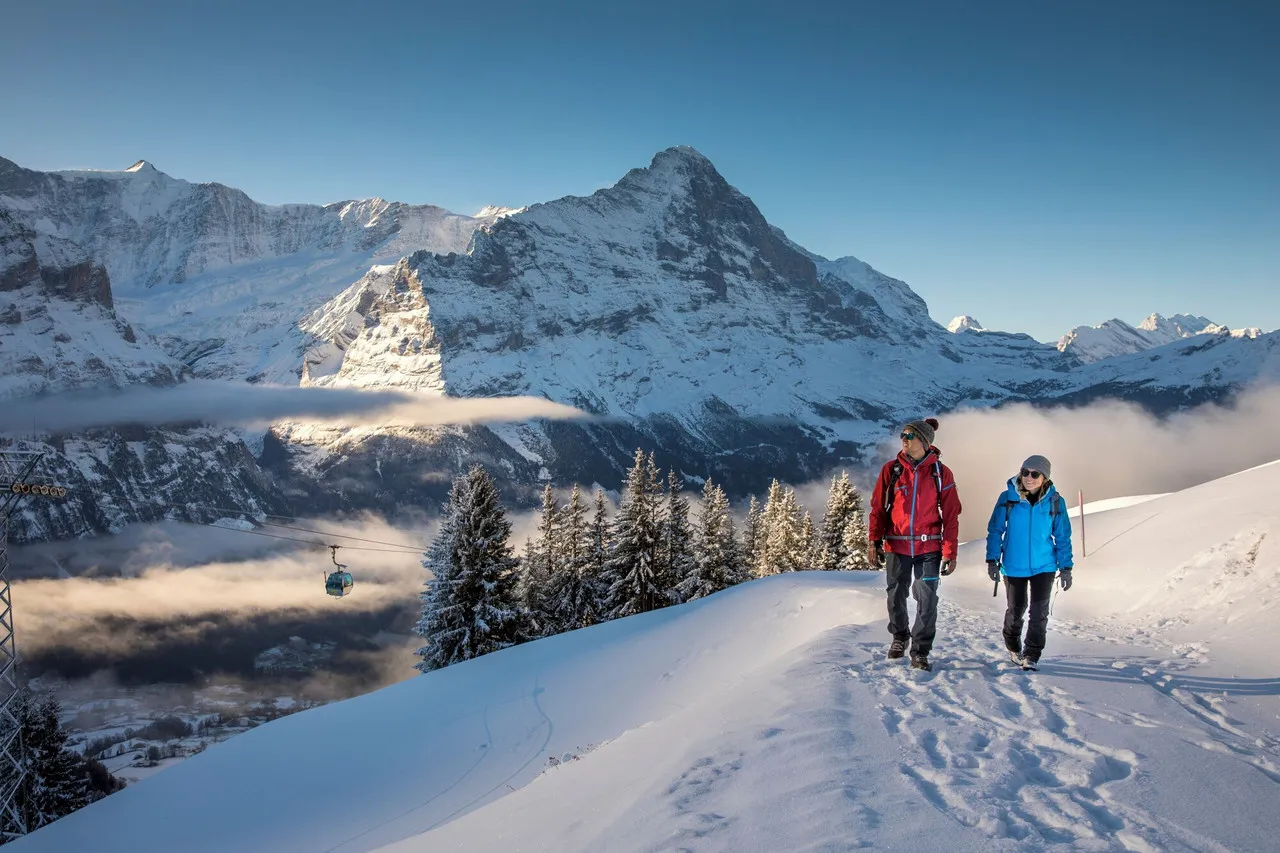 Eiger Selfness Hotel — ภาพห้องพักและบรรยากาศ