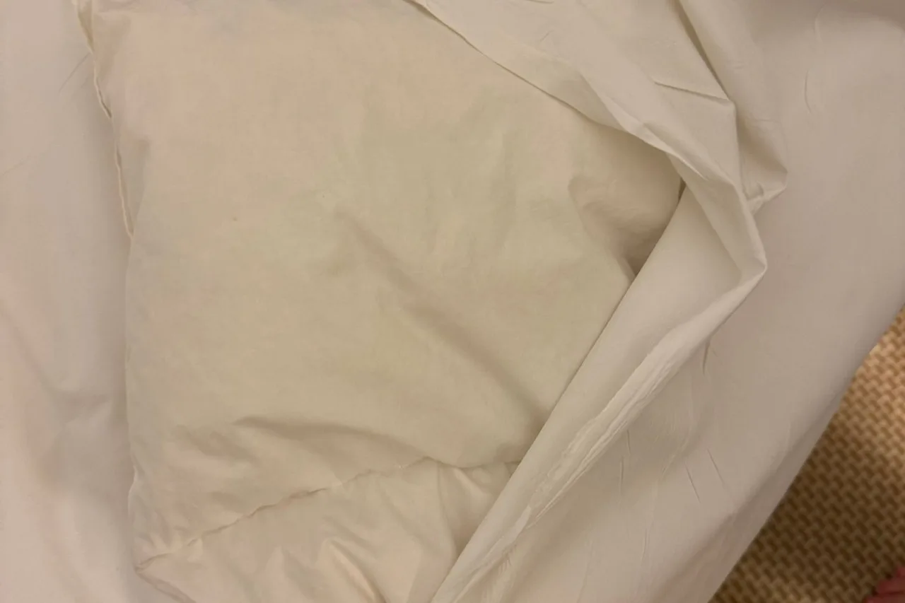 El Aurassi Hotel — rooms and atmosphere
