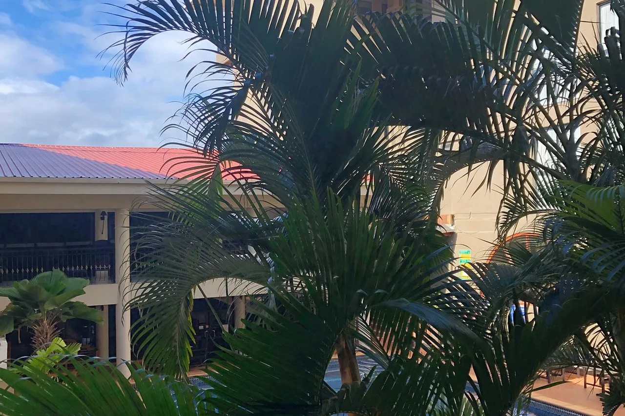 Ela Beach Hotel and Apartments — rooms and atmosphere