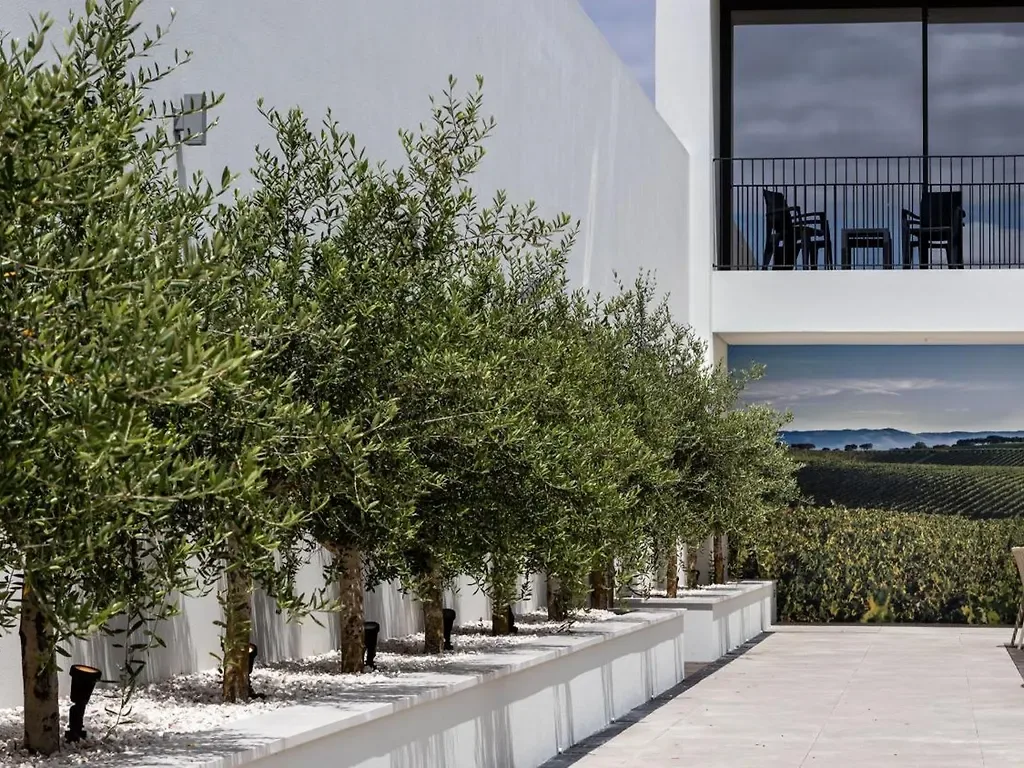 Evora O Cante Hotel — ภาพห้องพักและบรรยากาศ