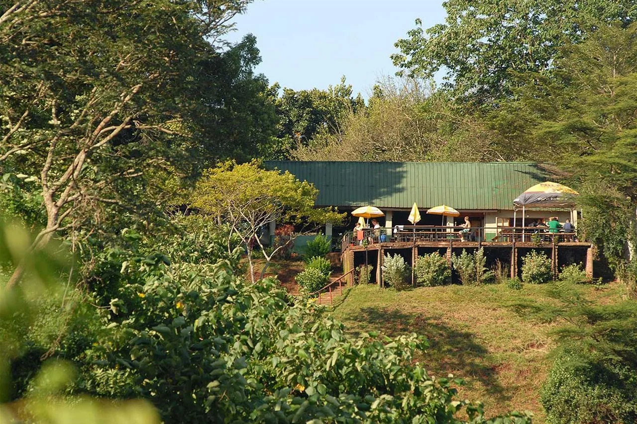Explorers River Camp — ภาพห้องพักและบรรยากาศ