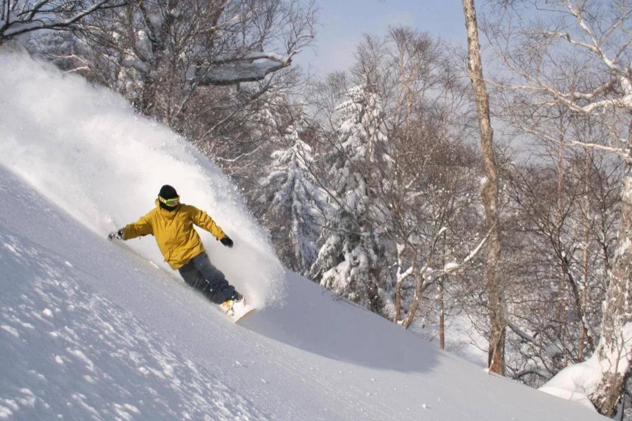 Furano Natulux Hotel — rooms and atmosphere
