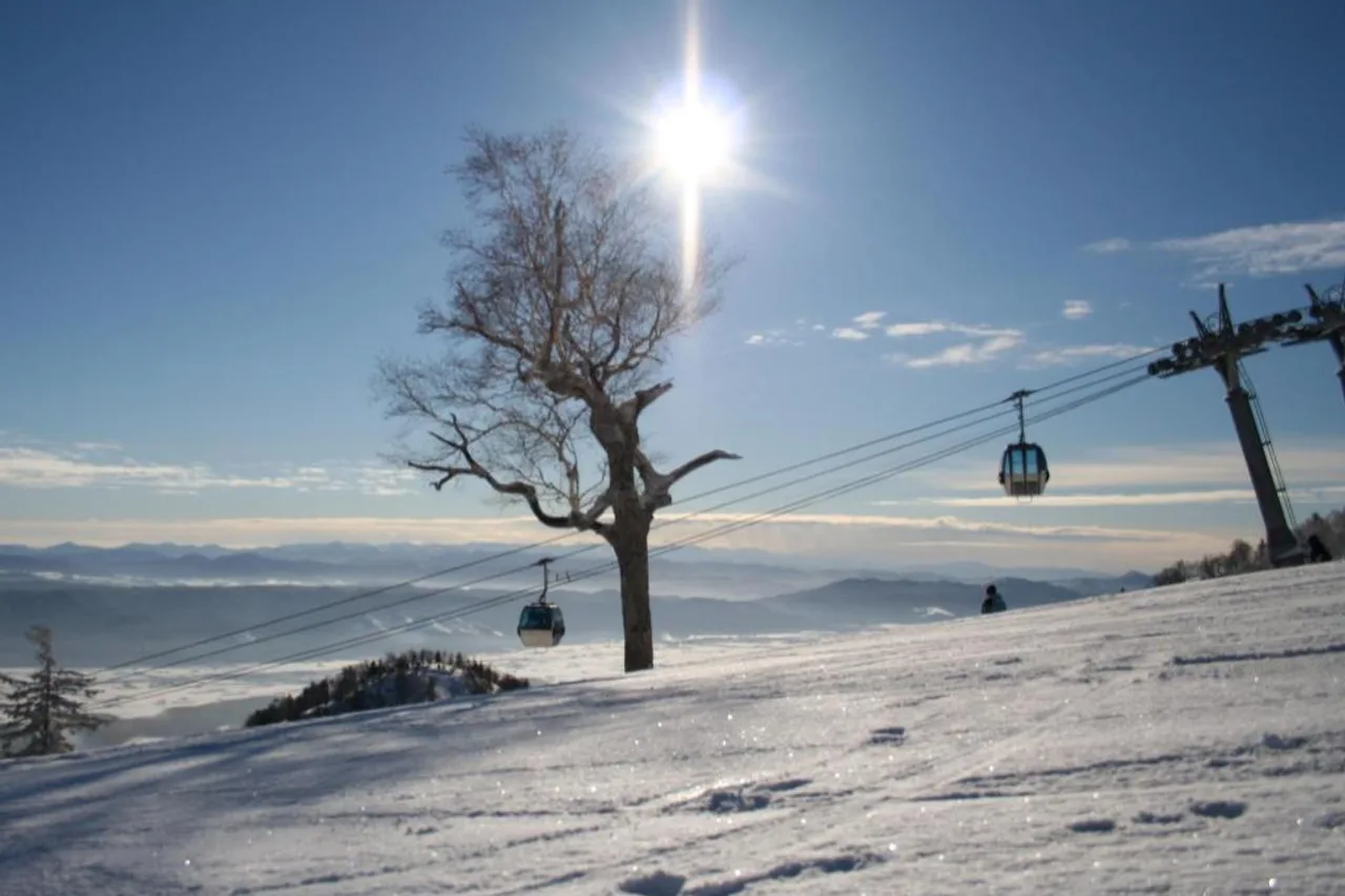 Furano Natulux Hotel — rooms and atmosphere