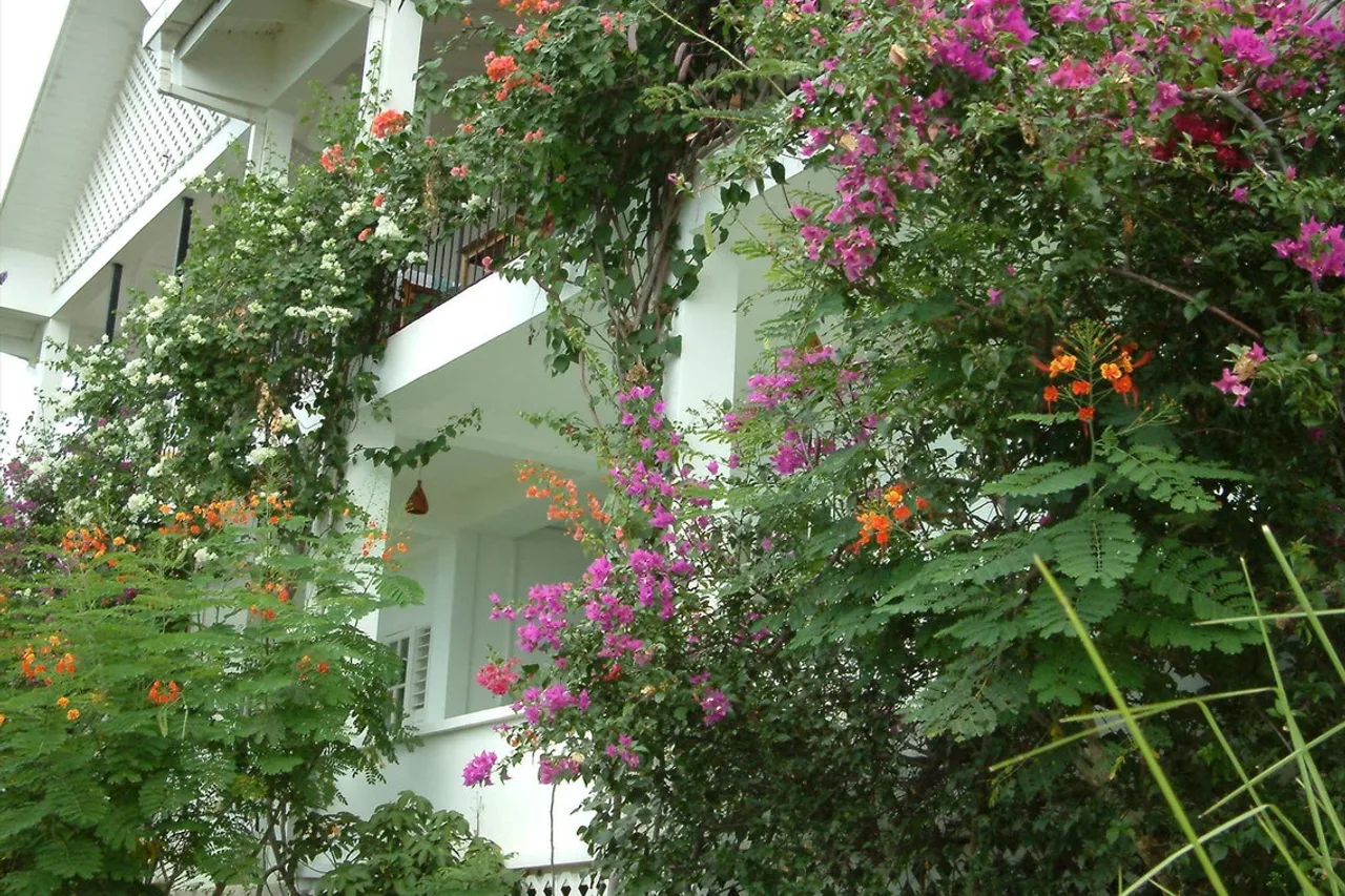 Green Roof Inn — ภาพห้องพักและบรรยากาศ