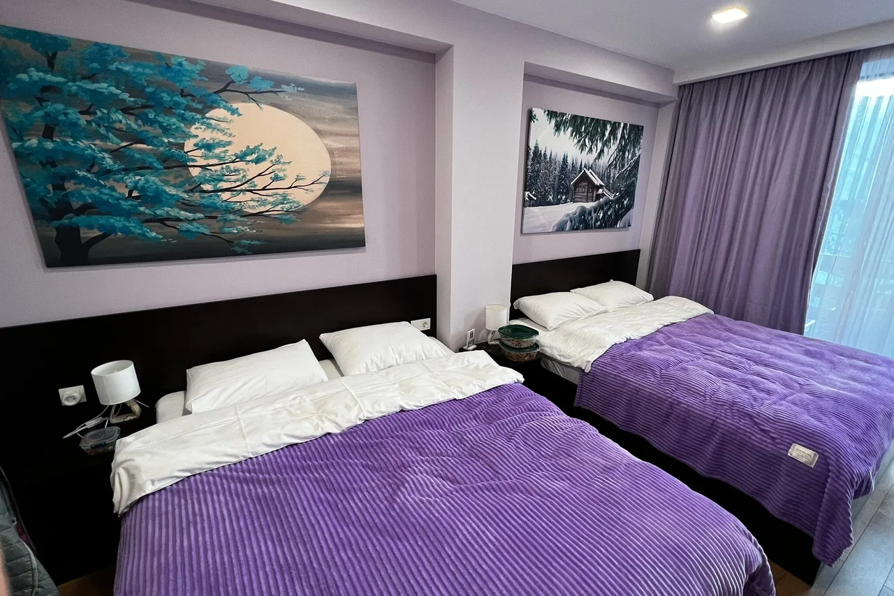 Gudauri Diamond — ภาพห้องพักและบรรยากาศ