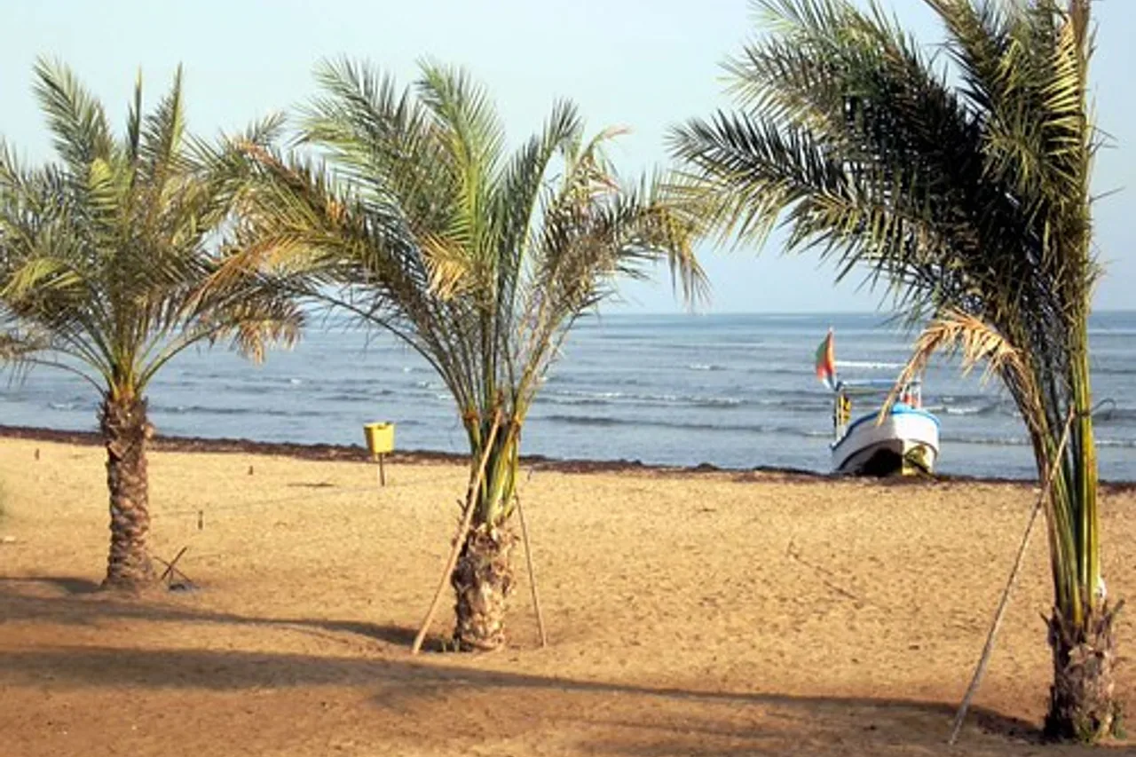 Gurgussum Beach Hotel — ภาพห้องพักและบรรยากาศ