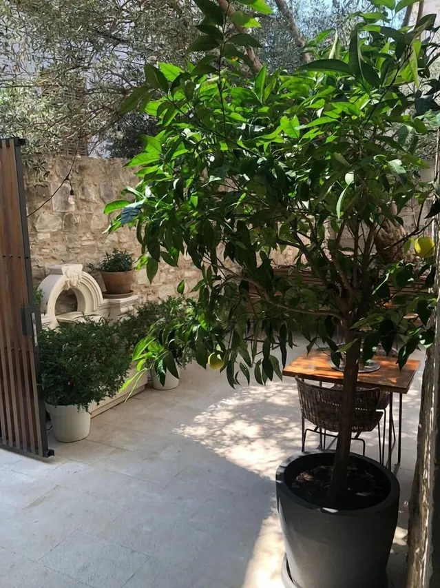 Heritage Hotel 19 — rooms and atmosphere