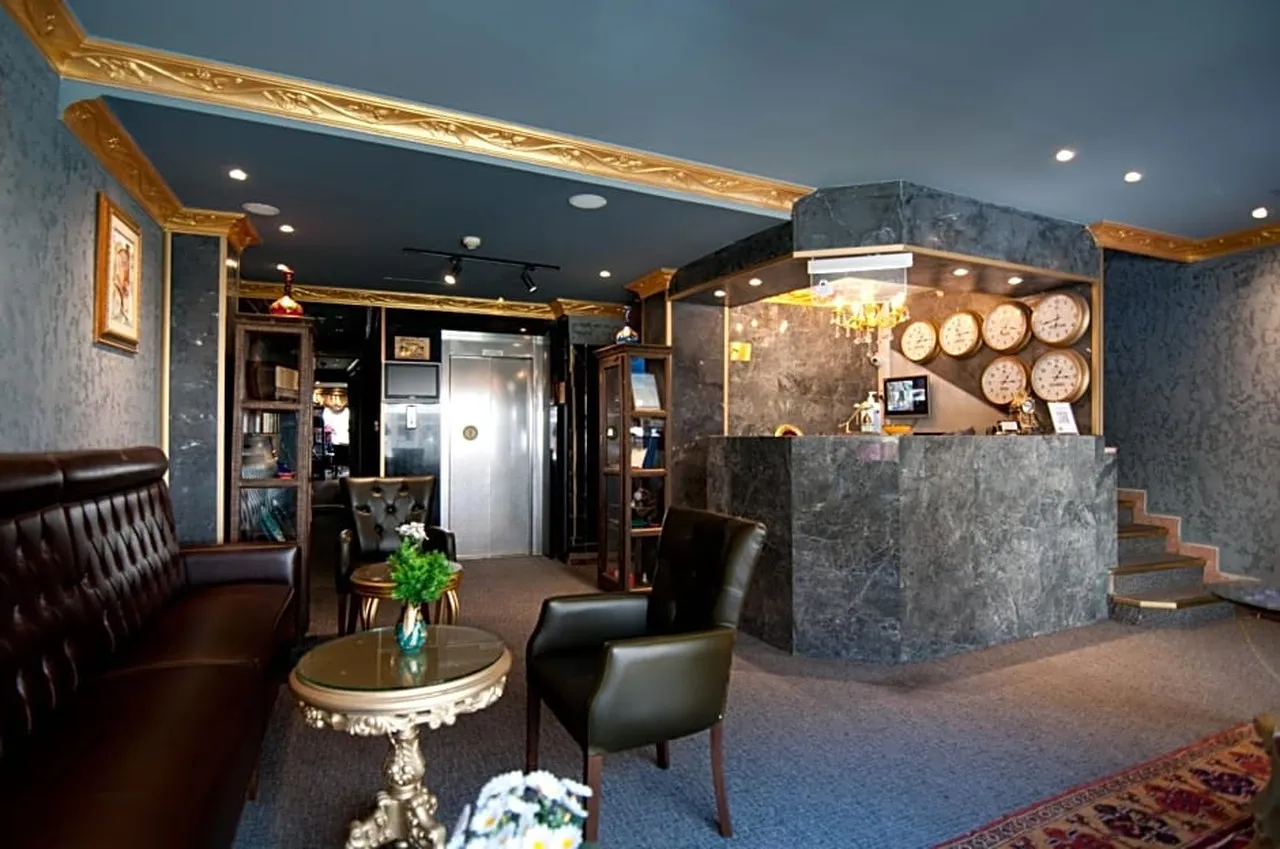 Hotel Aslan Istanbul — rooms and atmosphere