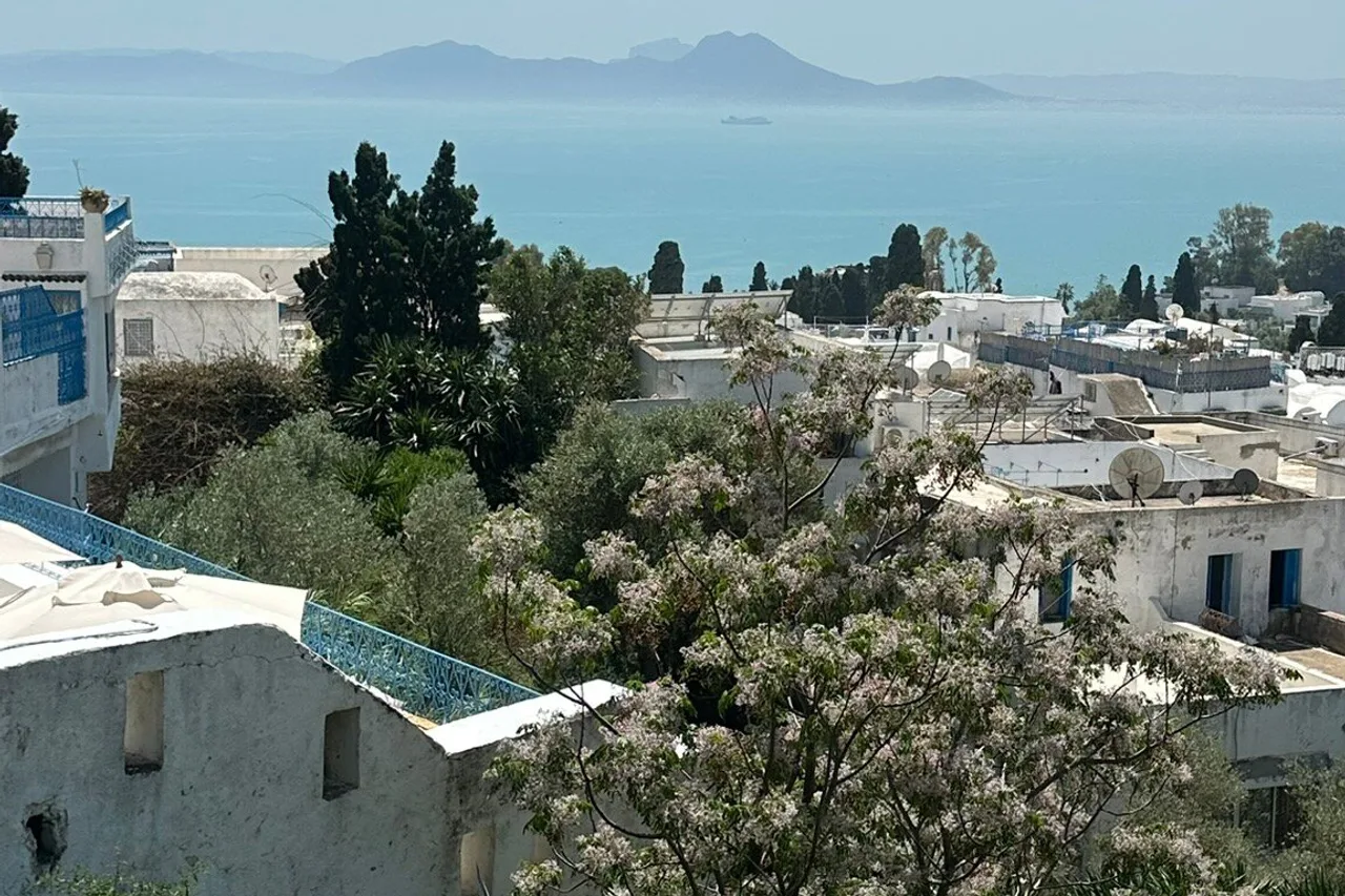 Hotel Dar Said — rooms and atmosphere