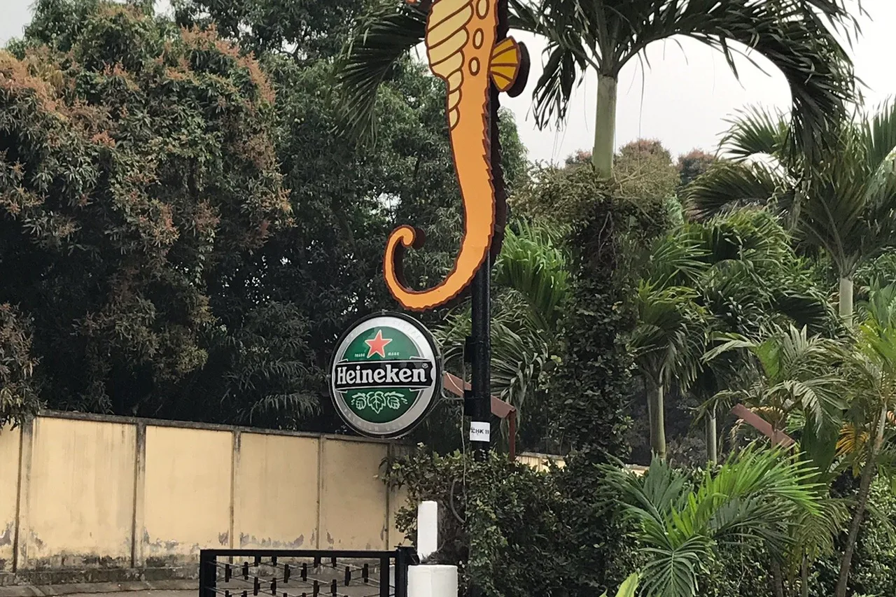 Hotel Hippocampe — rooms and atmosphere