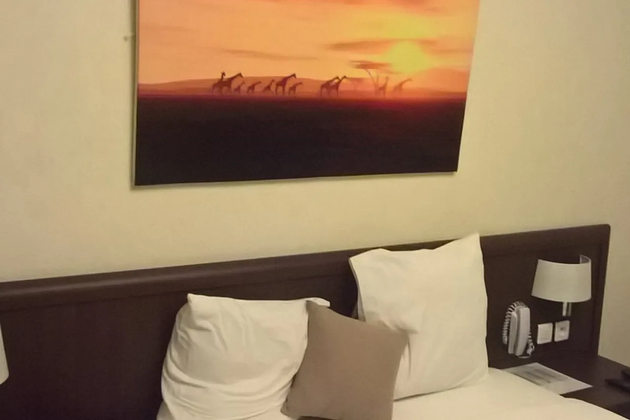 Hotel La Tchadienne (ex-Novotel) — rooms and atmosphere