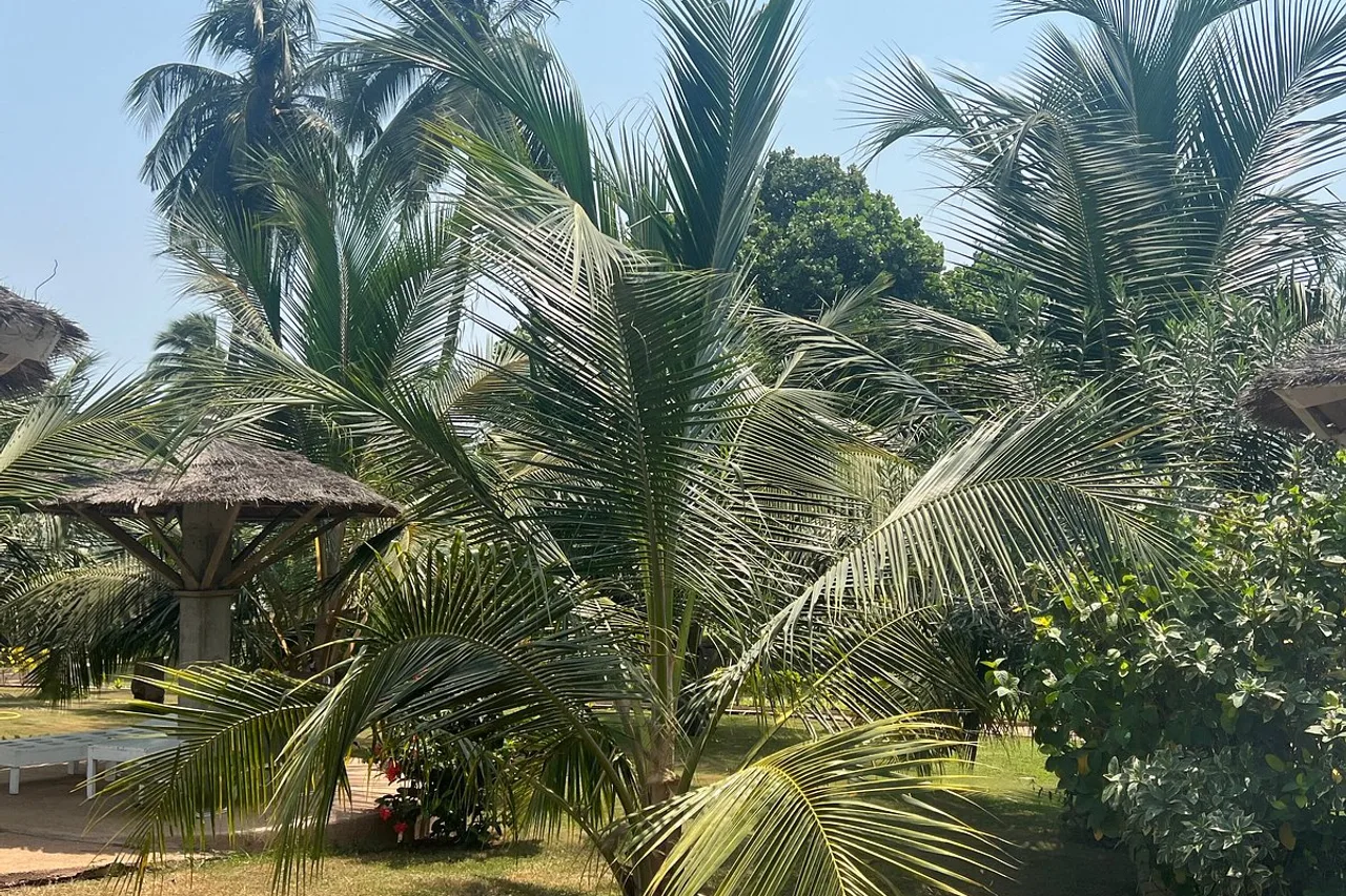 Hotel Sarakawa — rooms and atmosphere