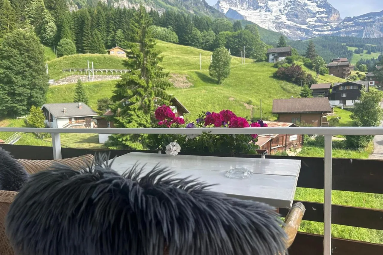 Hotel Schweizerheim — rooms and atmosphere