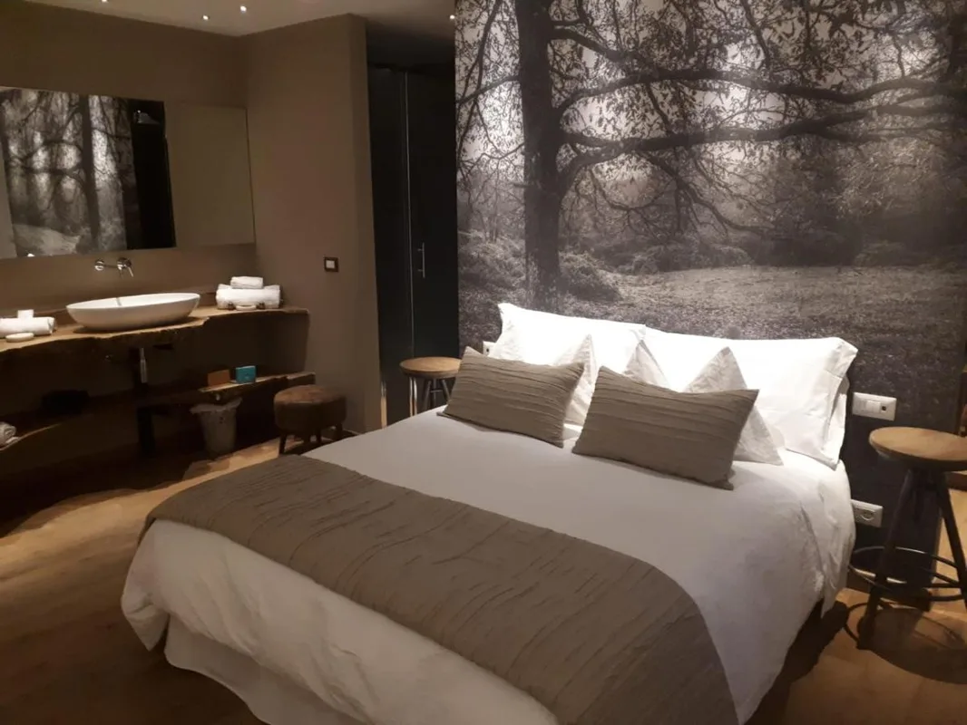 Hotel Silva — ภาพห้องพักและบรรยากาศ
