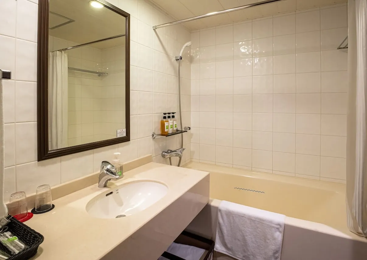 Ibis Styles Sapporo — rooms and atmosphere