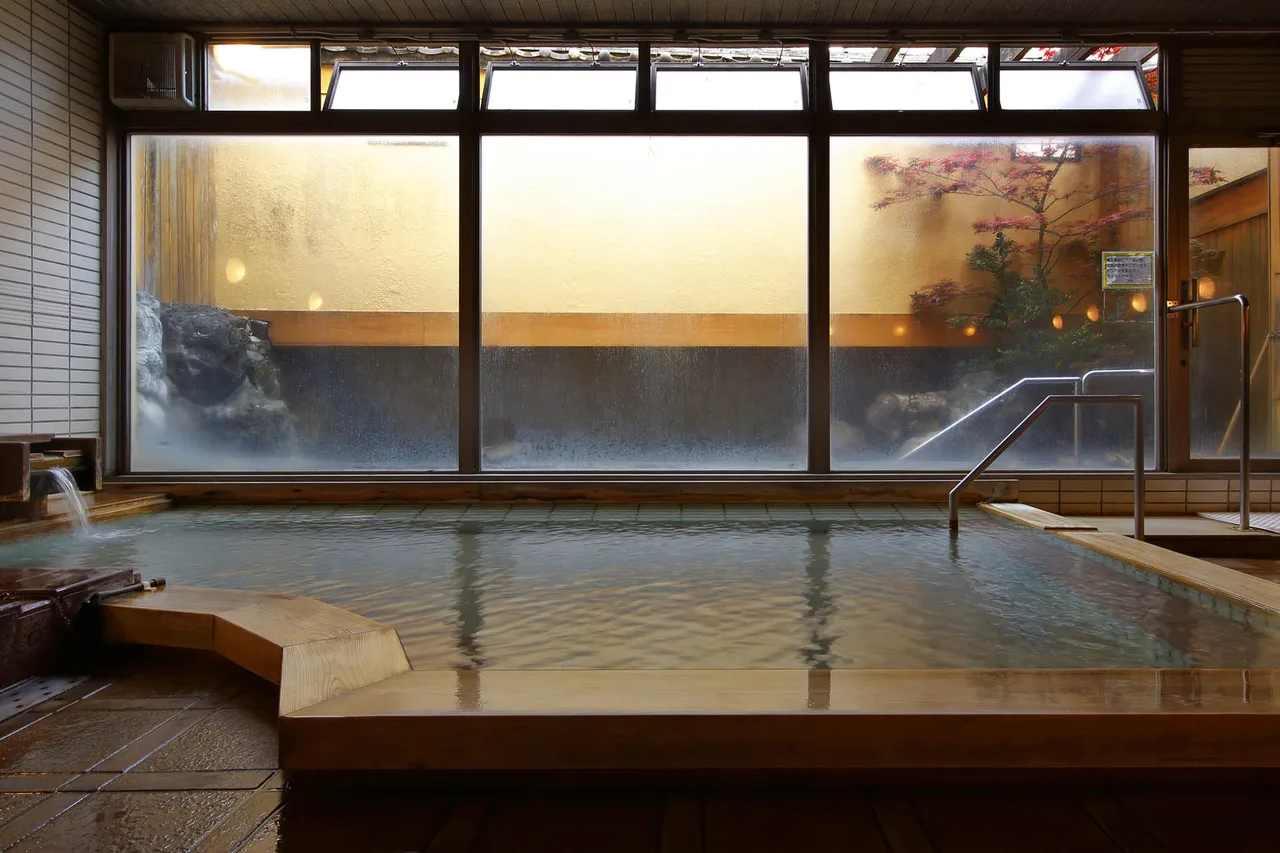 Ibusuki Shusuien — rooms and atmosphere