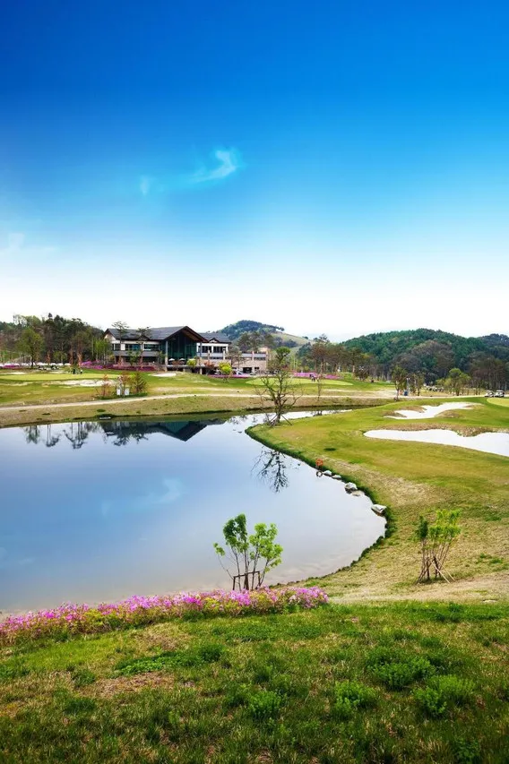 InterContinental Alpensia Pyeongchang — rooms and atmosphere