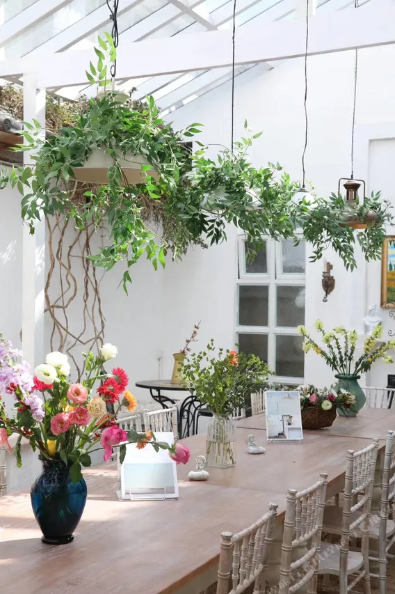Jade Emu International Hostel — rooms and atmosphere