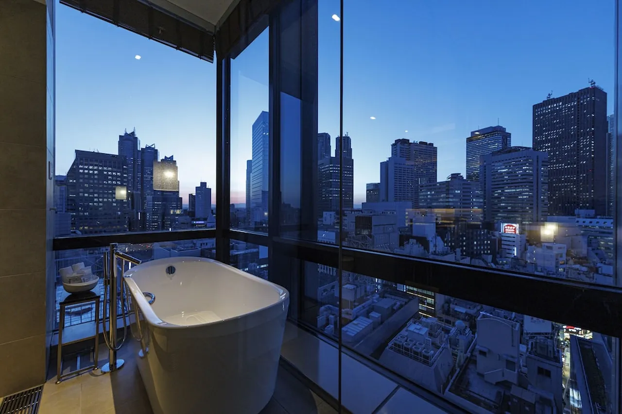 JR Kyushu Hotel Blossom Shinjuku — rooms and atmosphere