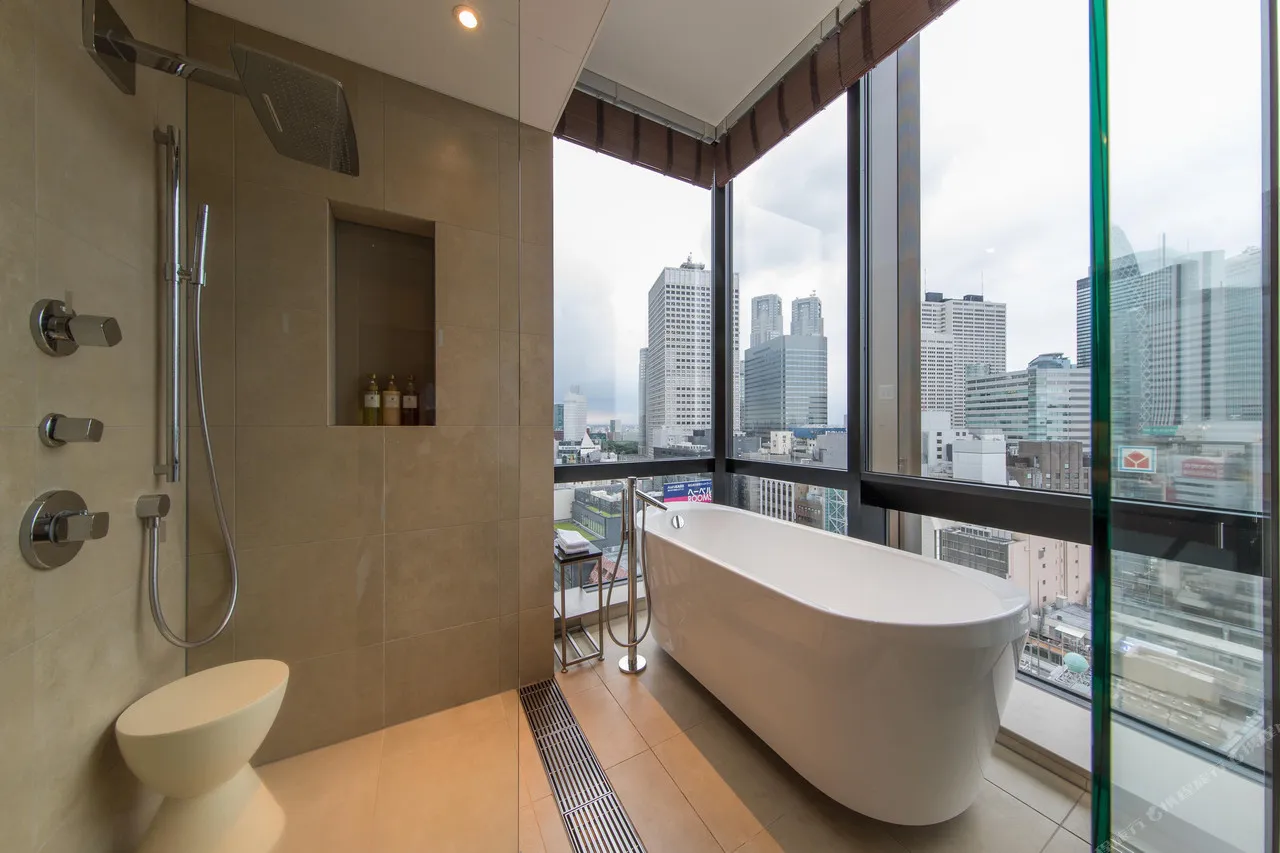 JR Kyushu Hotel Blossom Shinjuku — rooms and atmosphere