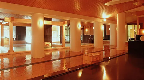 Kinugawa Onsen Hotel — ภาพห้องพักและบรรยากาศ