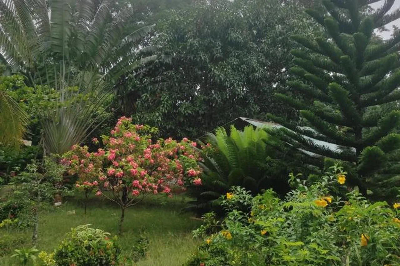 La Montagne Verte — ภาพห้องพักและบรรยากาศ
