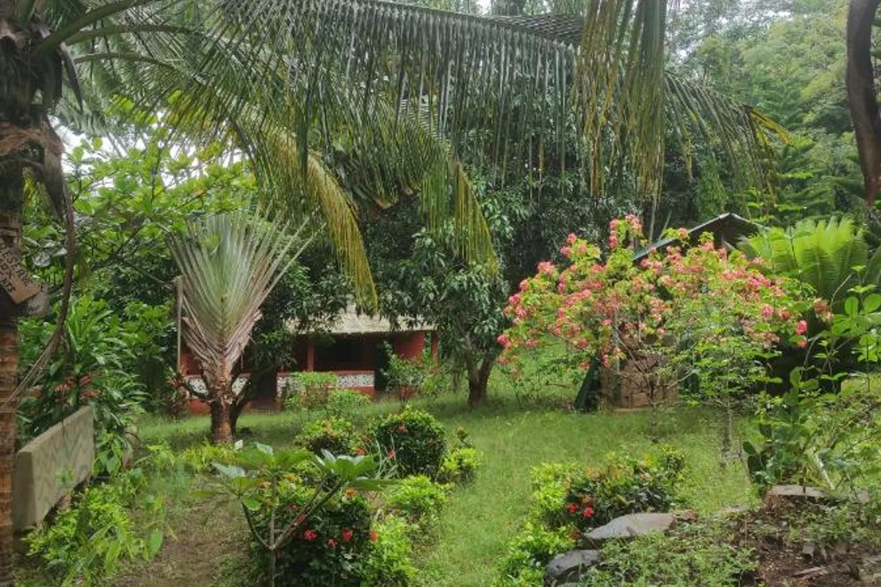 La Montagne Verte — ภาพห้องพักและบรรยากาศ