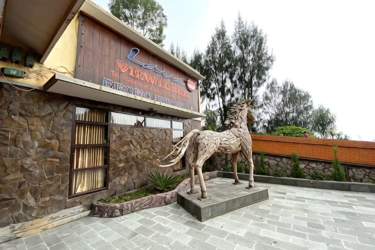 Lava View Lodge — rooms and atmosphere