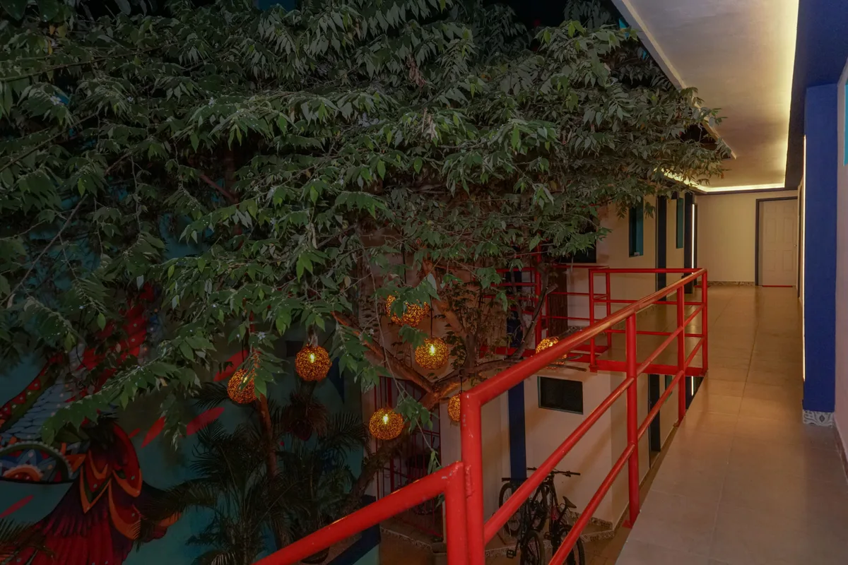 Linda Vecindad Playa del Carmen — ภาพห้องพักและบรรยากาศ