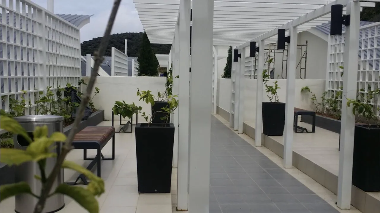 Little Rabbit Apartments — ภาพห้องพักและบรรยากาศ