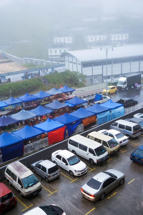 Little Rabbit Apartments — ภาพห้องพักและบรรยากาศ