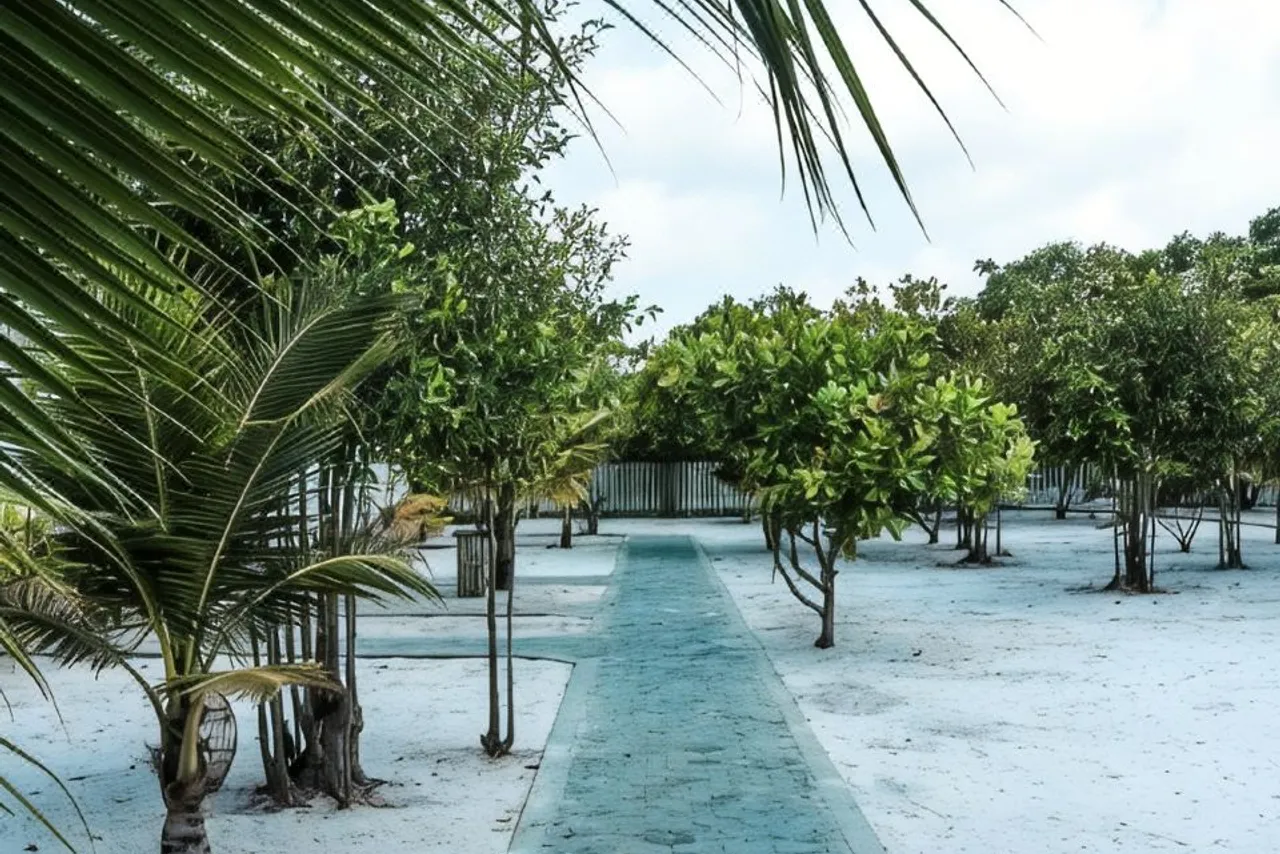 Long Set Resort — rooms and atmosphere