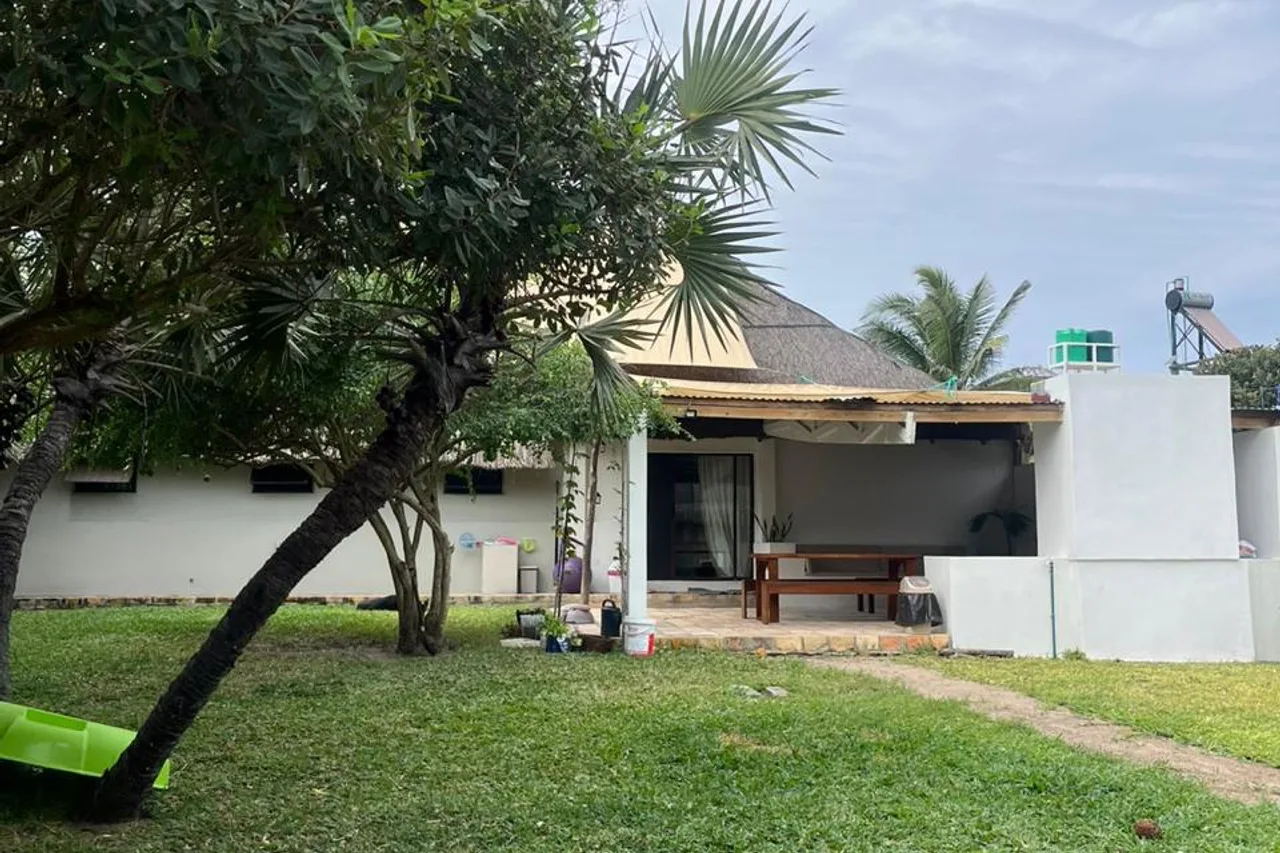 Mango Beach — ทอฟู