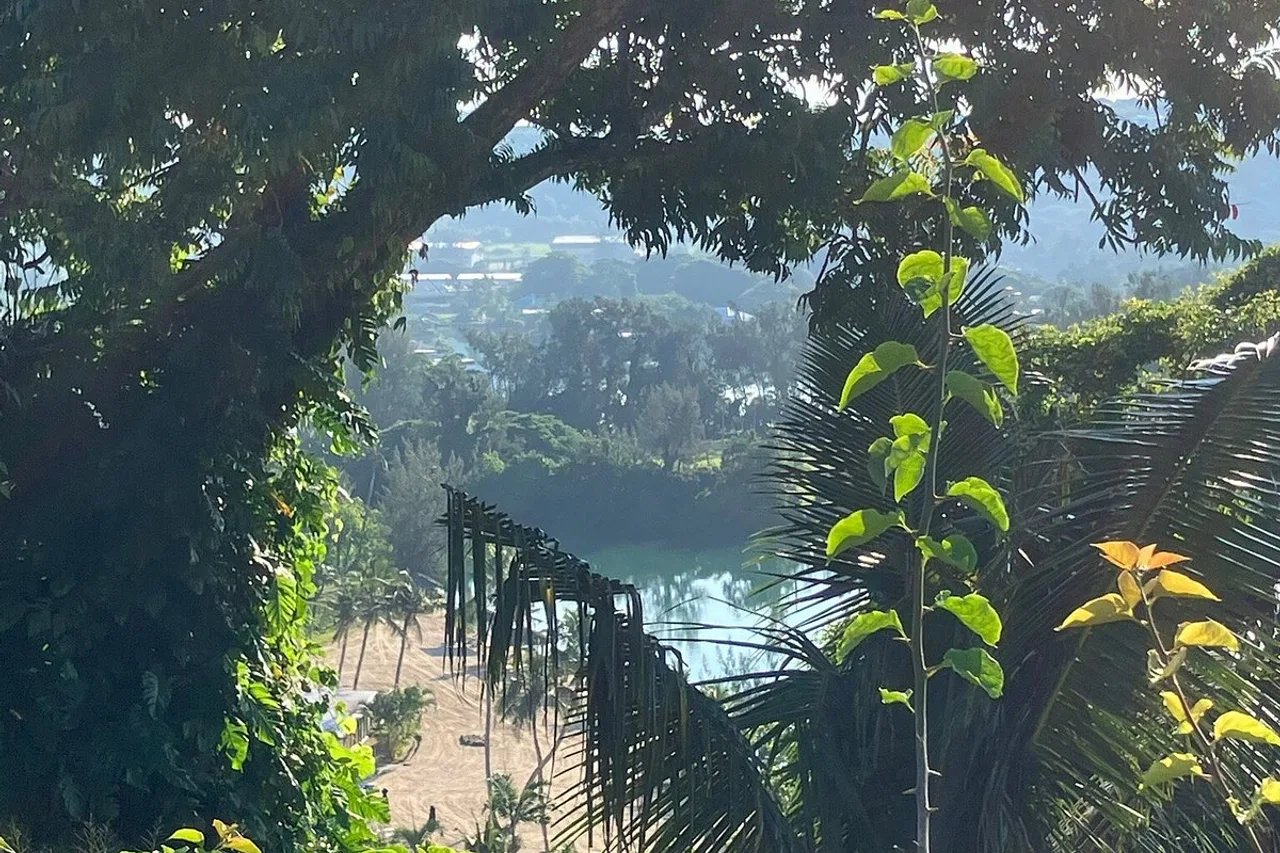 Mangoes Resort — rooms and atmosphere