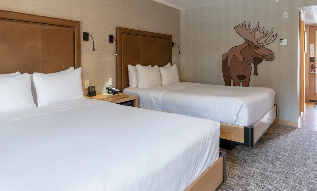Moose Hotel and Suites — ภาพห้องพักและบรรยากาศ