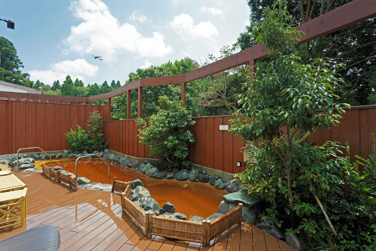 Narita View Hotel — rooms and atmosphere