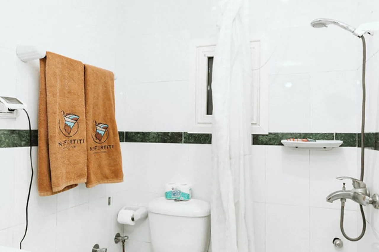 Nefertiti Hotel Luxor — ภาพห้องพักและบรรยากาศ