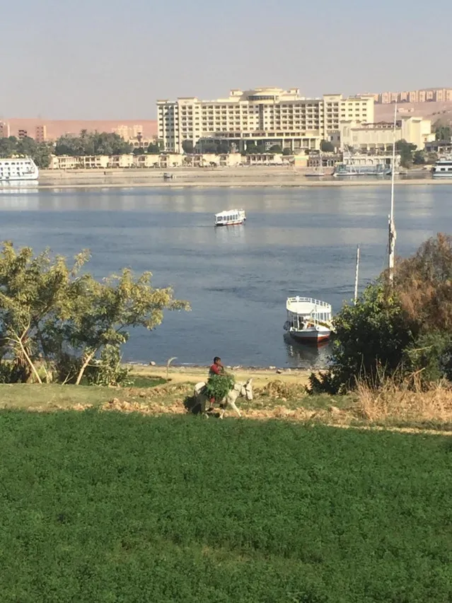 Nubian Holiday House Aswan — ภาพห้องพักและบรรยากาศ