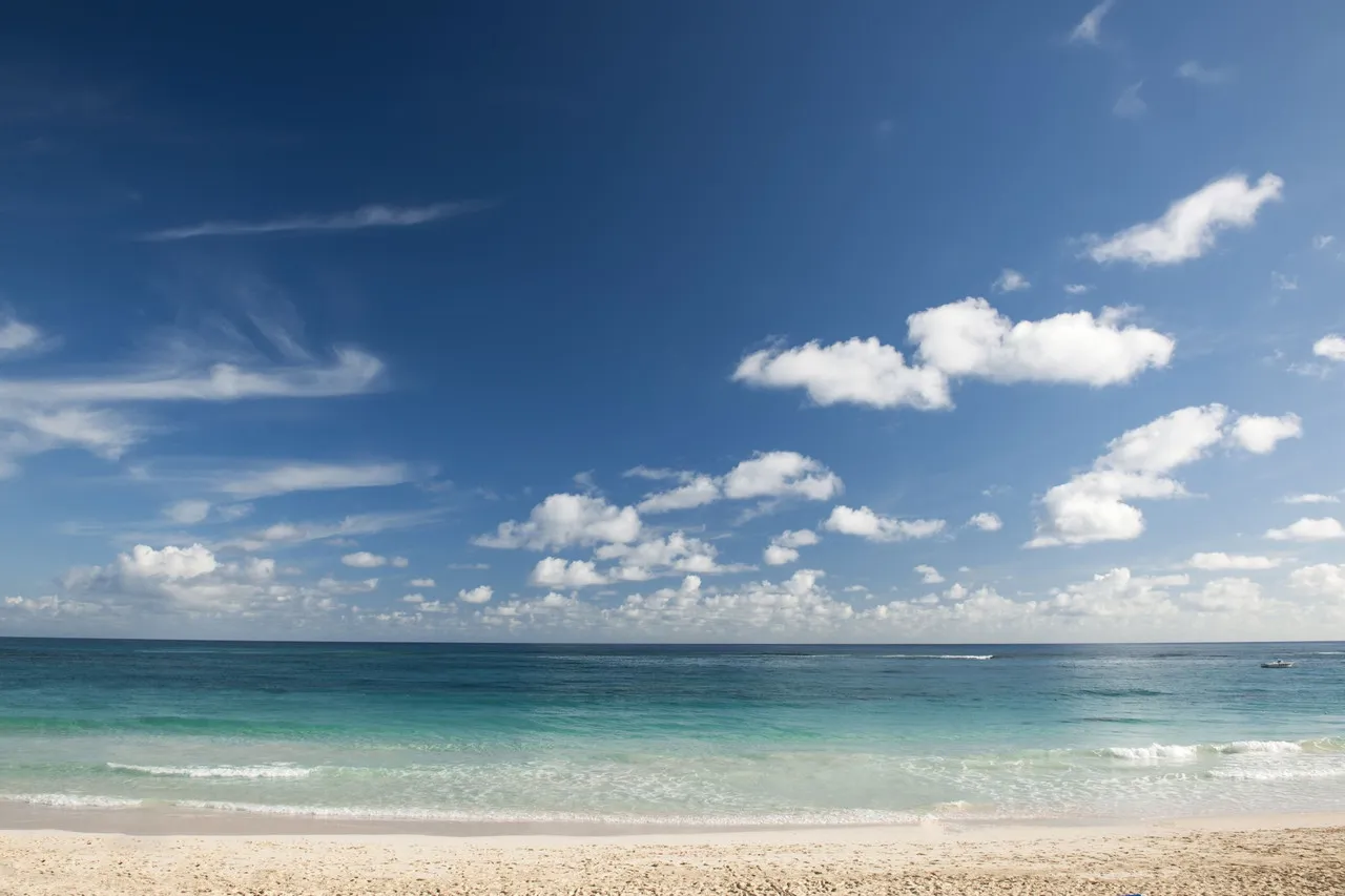 Occidental Caribe - All Inclusive — ภาพห้องพักและบรรยากาศ