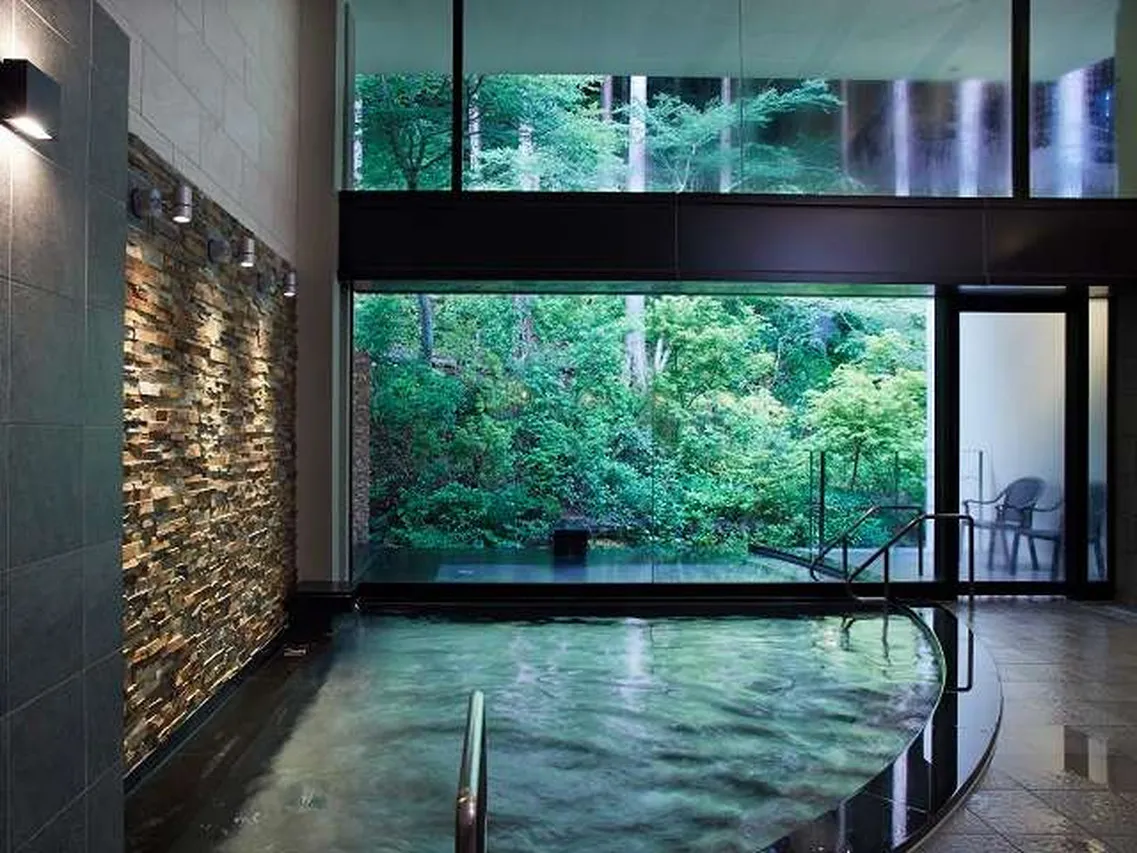 Odakyu Hotel de Yama — rooms and atmosphere