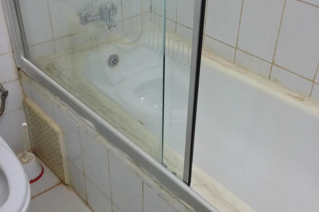 Olympe International Hotel — rooms and atmosphere