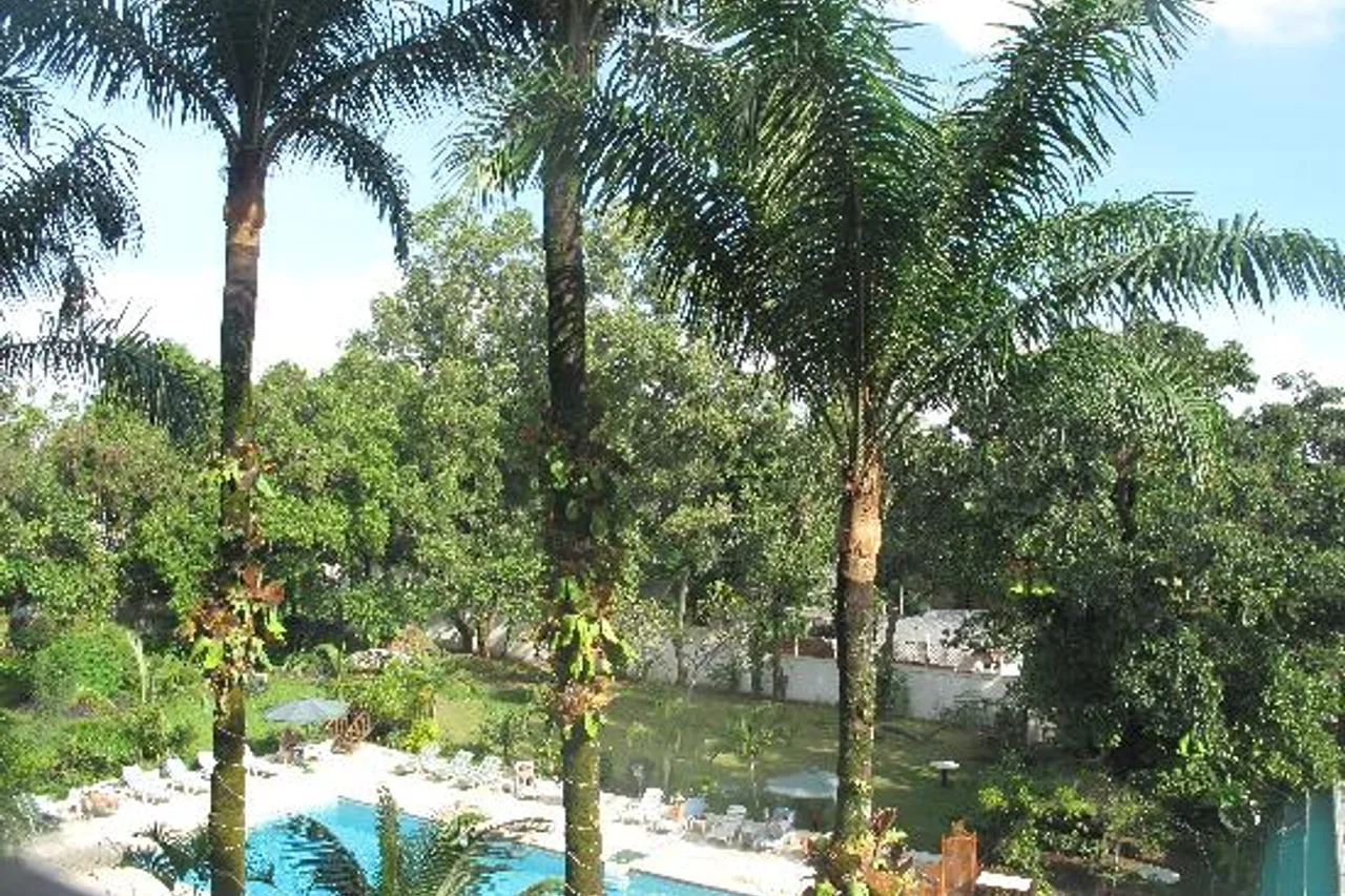 Olympic Palace Hotel — rooms and atmosphere
