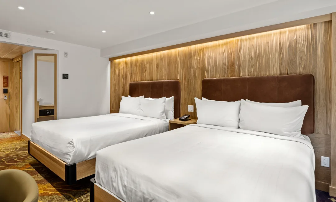 Otter Hotel — ภาพห้องพักและบรรยากาศ